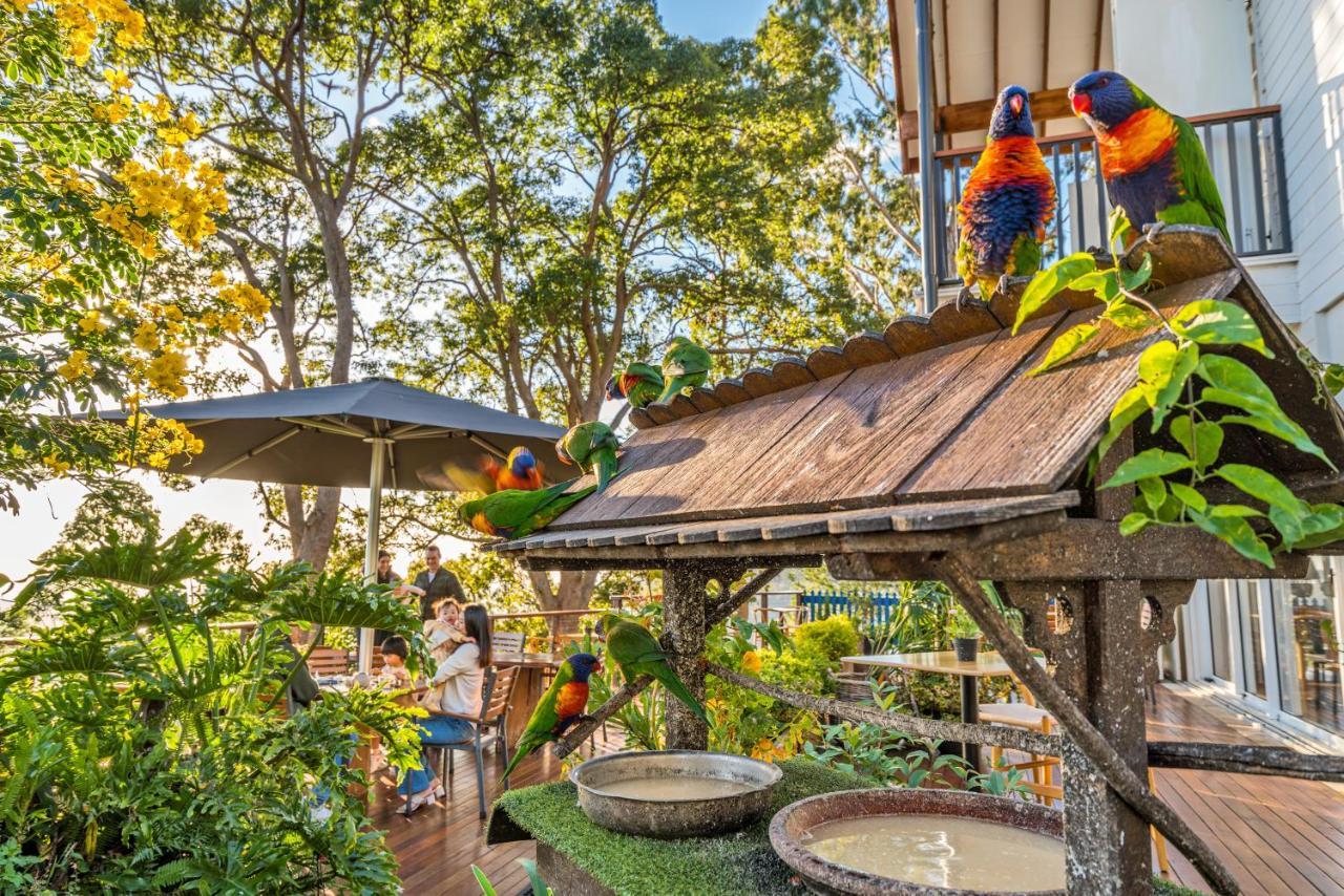 The Polish Place Mount Tamborine Exterior photo